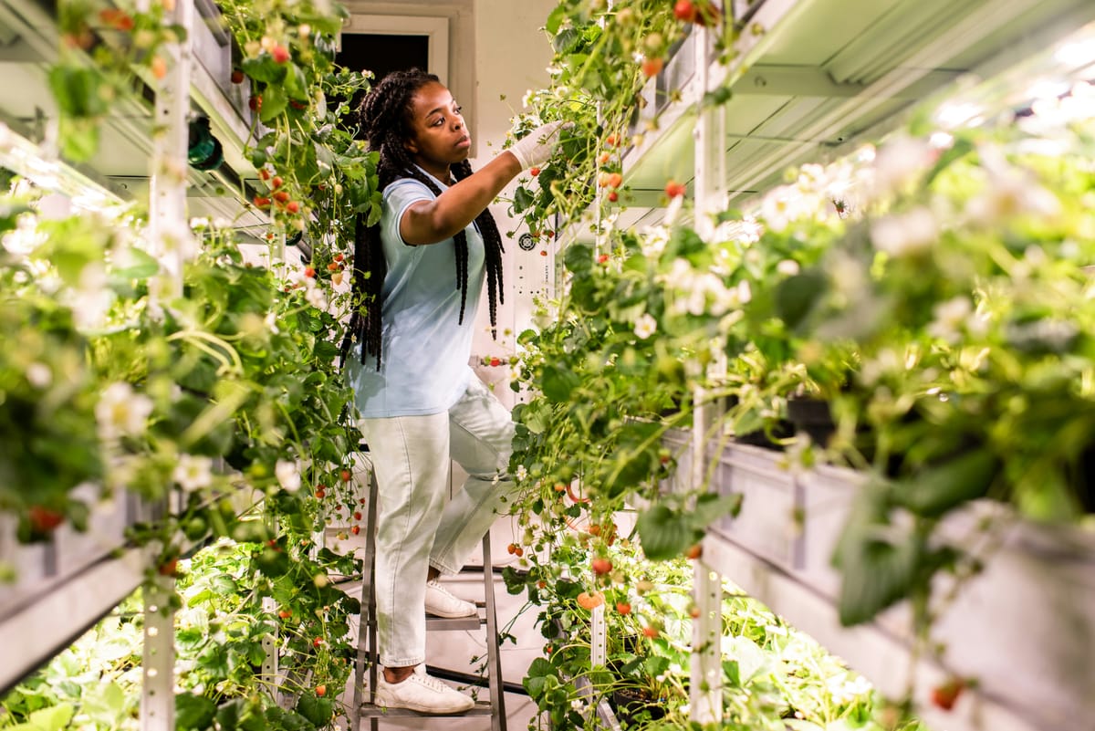 Vertical Gardening: Maximize Your Space with Style
