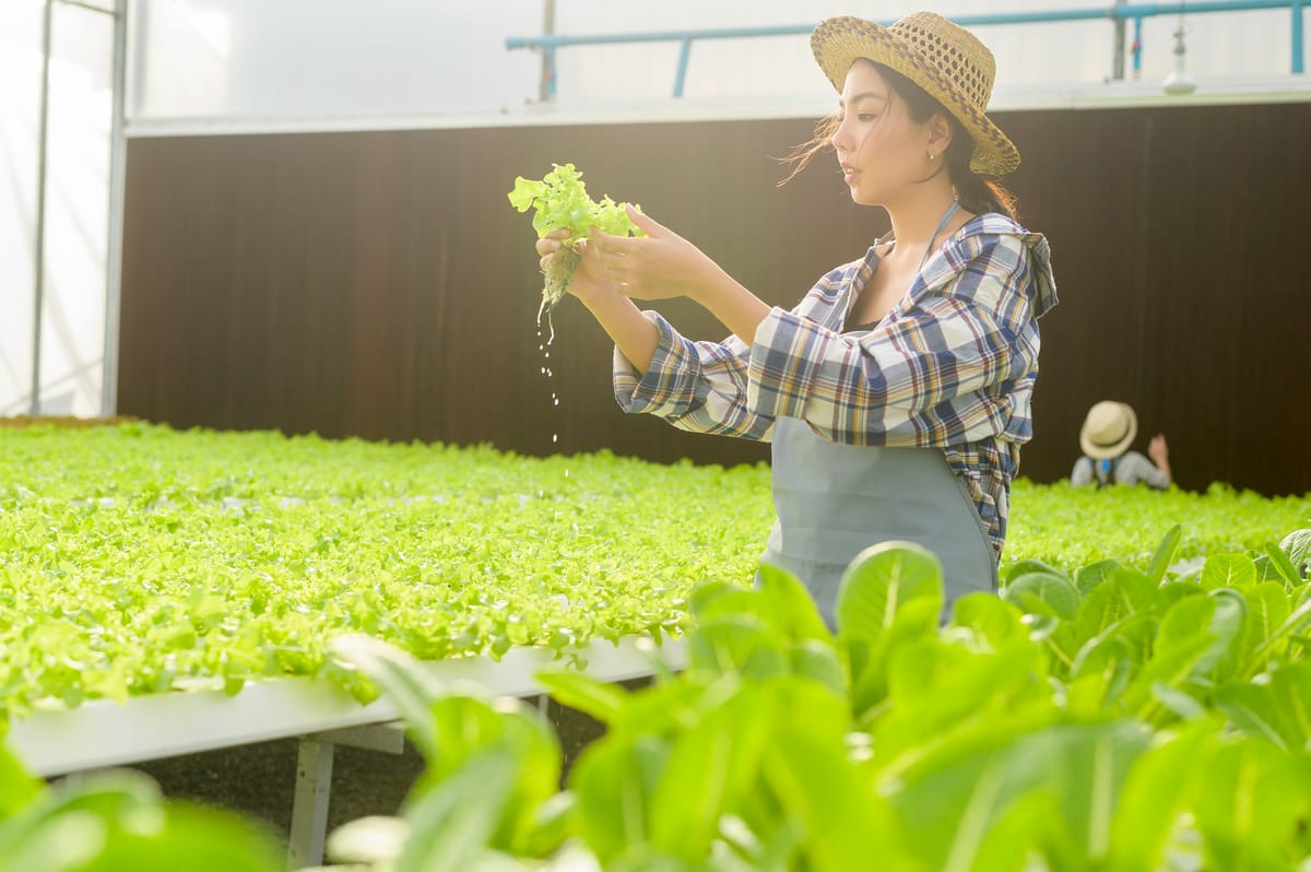 Hydroponic Gardening: The Secret to Growing Mountains of Veggies in Your Tiny Apartment!