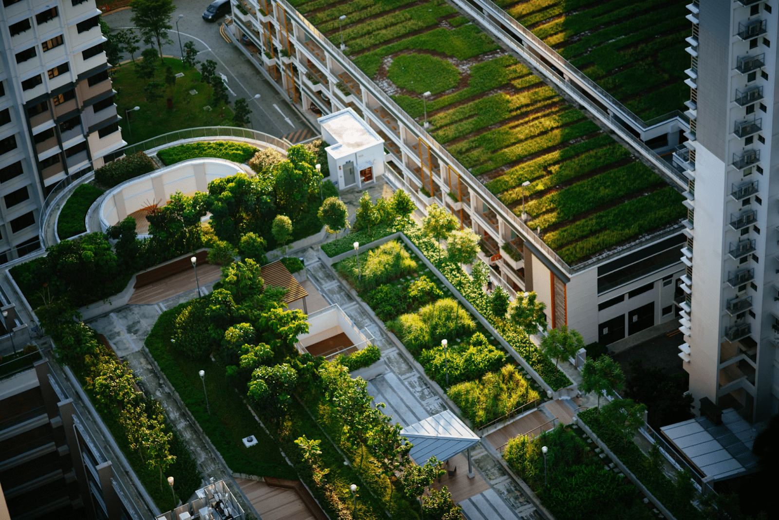 How Urban Gardening Helps Save the Planet