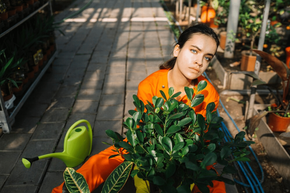 The Environmental Benefits of Urban Gardening