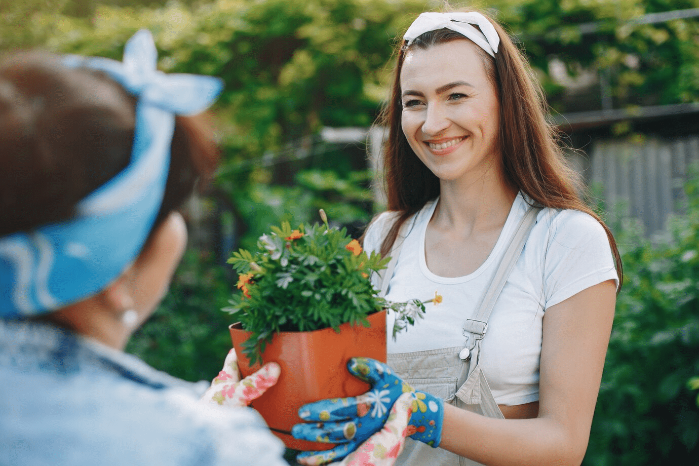How Urban Gardening Can Build Community
