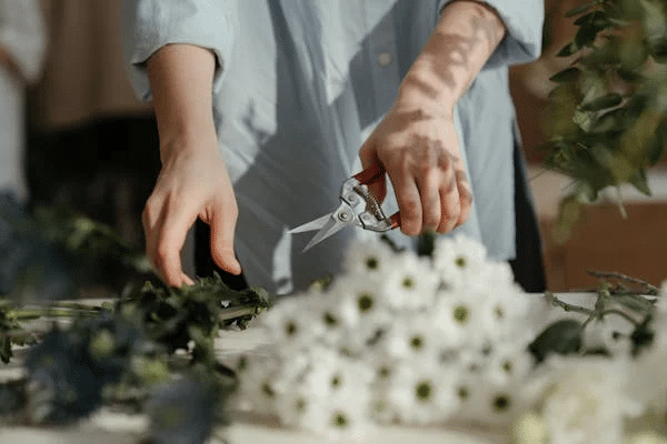 Secrets To Maximizing Your Urban Garden's Yield