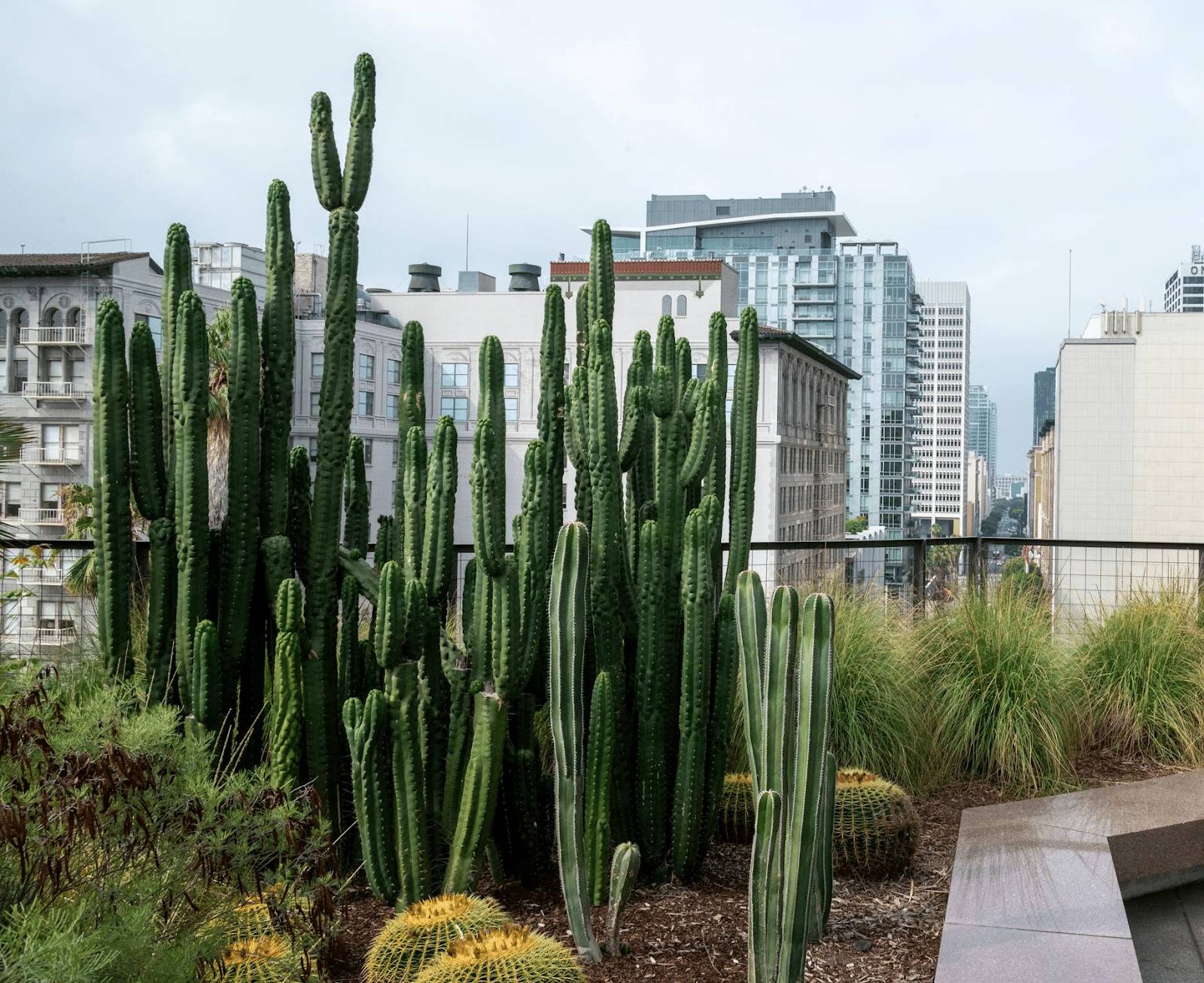 Rooftop Gardening: Transform Your Roof into a Green Oasis