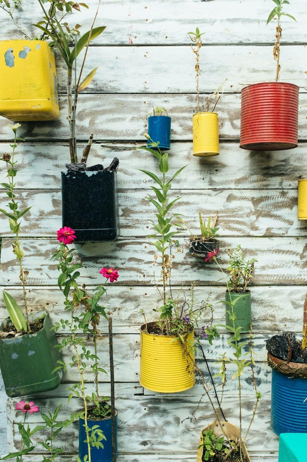 How To Garden on a Budget in the City