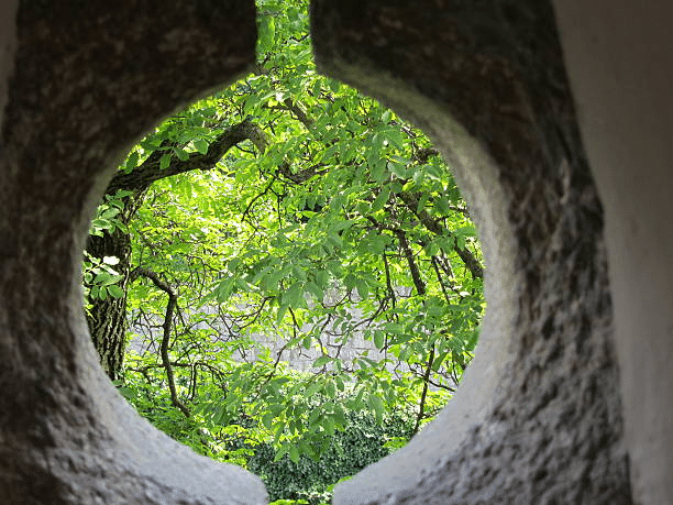 Unlock Your Urban Gardening Potential: Build a Keyhole Garden Today!