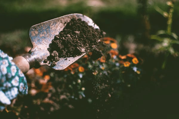 The Biggest Mistakes Urban Gardeners Make