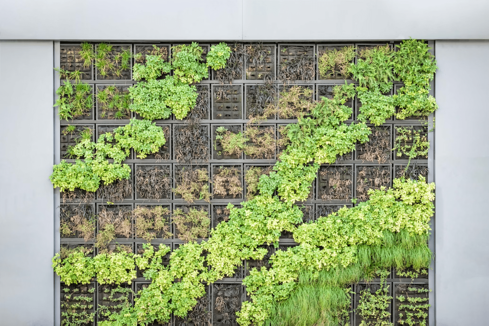 Secret Hacks to Save Space in Your Urban Garden
