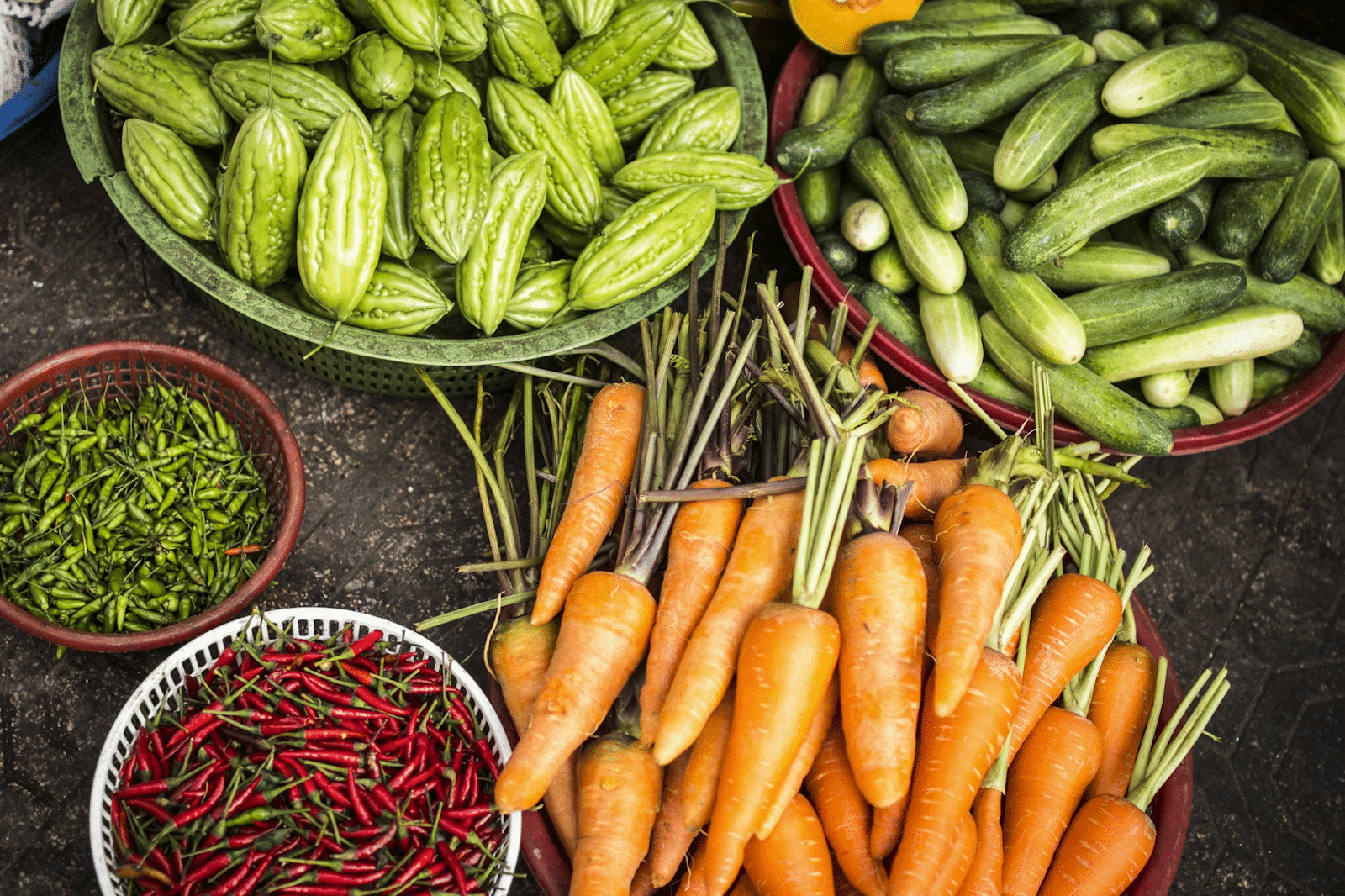How Urban Gardening Improves Your Health