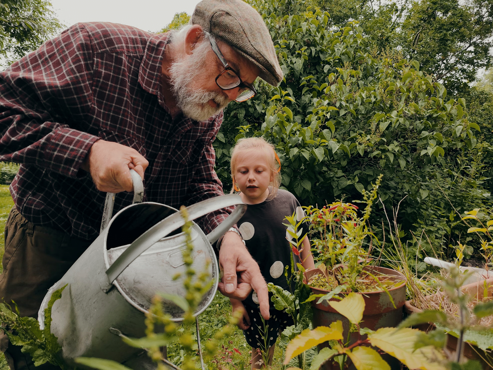 Why Urban Gardening is Great for Mental Health