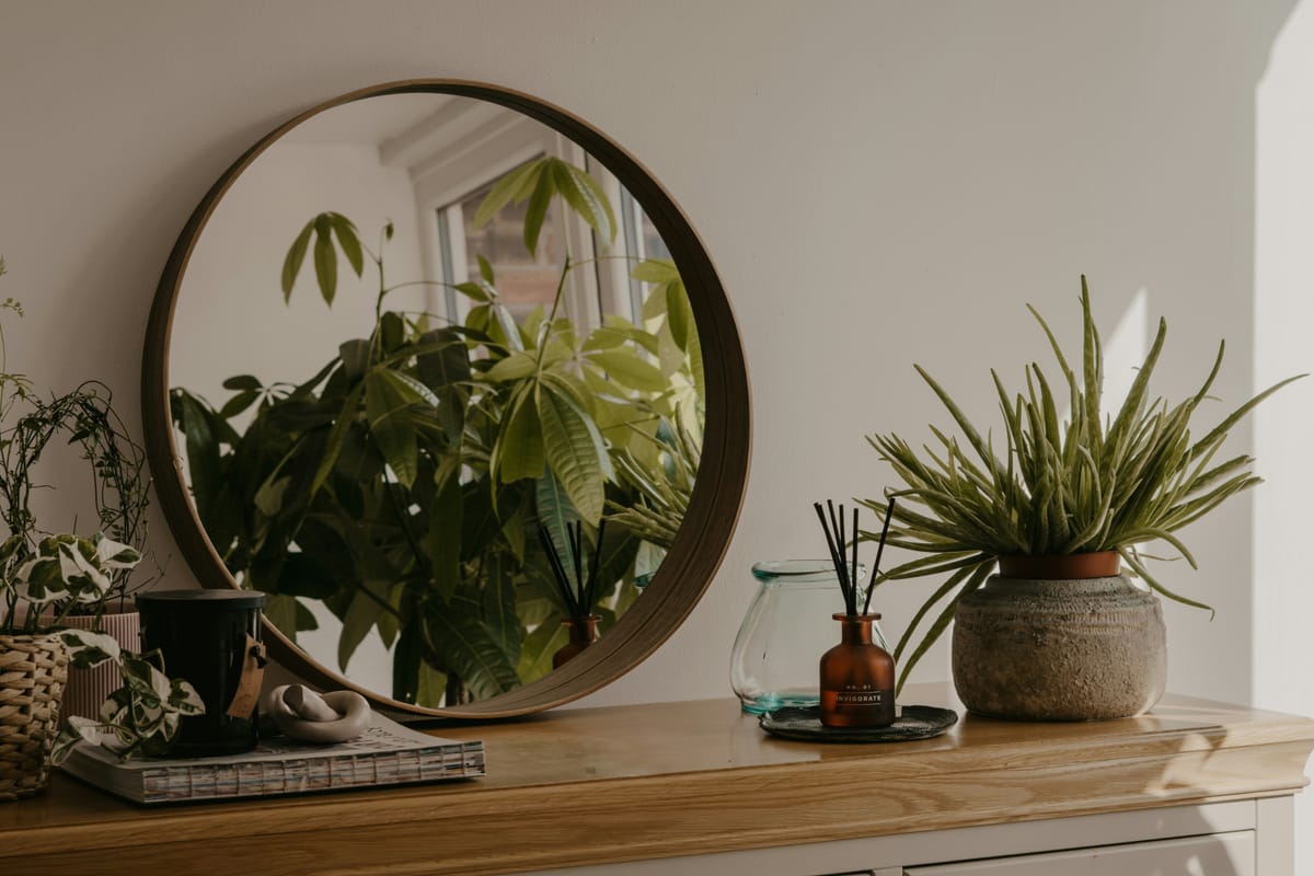 12 Best Houseplants to Breathe Life Into Your Living Room
