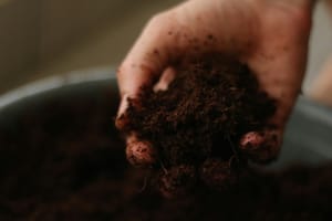 Soil & Composting