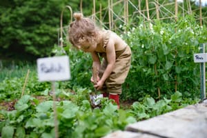 Gardening Fundamentals