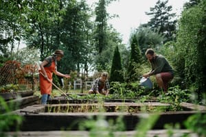 Community & Sustainability