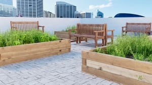 Urban Gardening