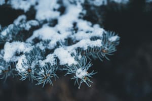 Seasonal Gardening