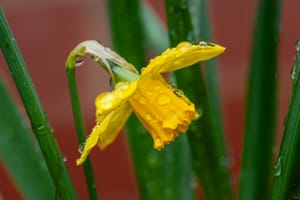 Climate & Weather